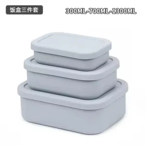Microwave safe lunch box