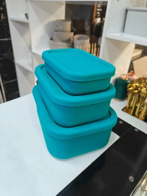 Leak proof food container