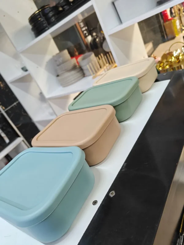 Leak proof lunch box