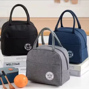 Brivilas Insulated Food Bag