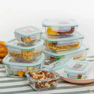 Borosilicate Glass Lunch Box