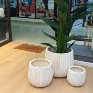 Luxury Concrete Planters