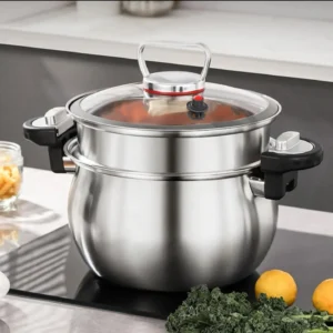 Pressure Cooker & Steamer Pot