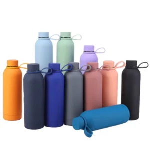 Stainless Steel Water Bottle