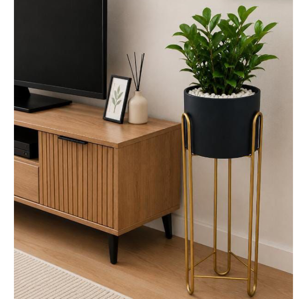 black planter Kenya