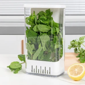 Airtight Herb Storage Box
