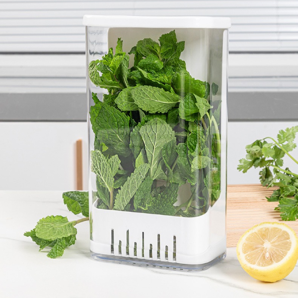 Unique House Collection – Affordable Home & Kitchenware Online Kenya 31 Airtight Herb Storage Box