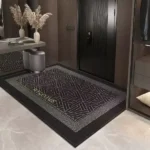 Absorbent Entrance Door Mat