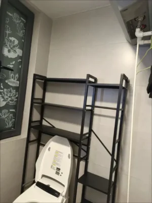 floor standing toilet rack