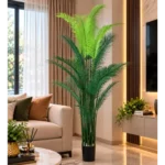 Palm Tree with Black Pot