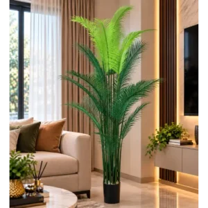 Palm Tree with Black Pot