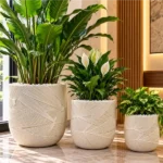 Planters