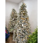 buy Christmas tree Nairobi