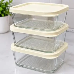 leftover food containers
